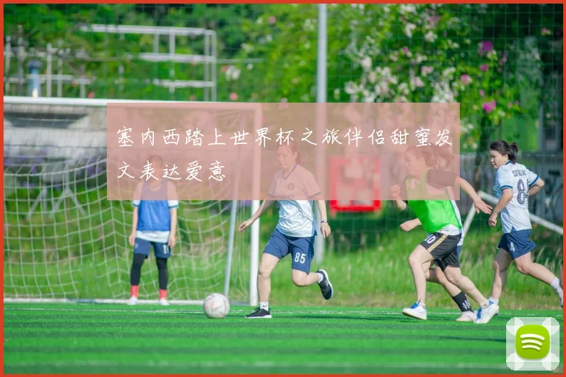 塞内西踏上世界杯之旅伴侣甜蜜发文表达爱意