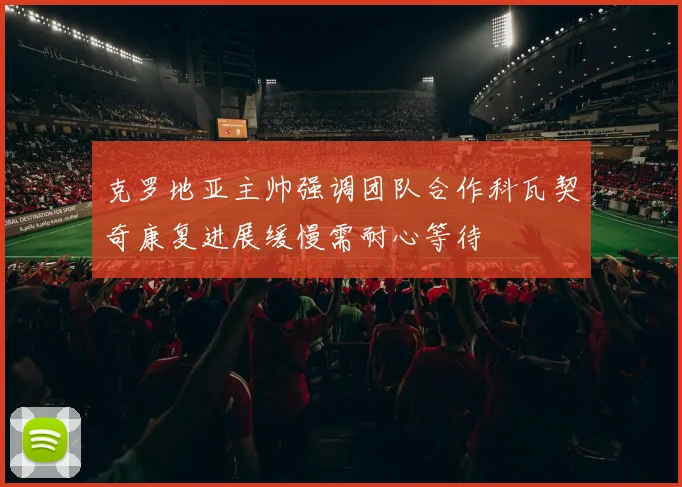 克罗地亚主帅强调团队合作科瓦契奇康复进展缓慢需耐心等待
